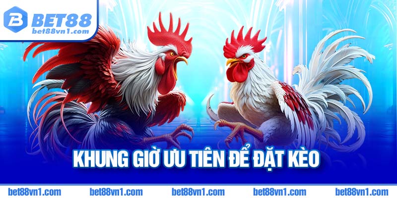 Ưu tiên đặt vào giờ cao điểm để đa dạng kèo