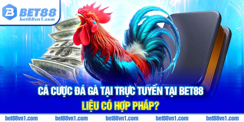 Sân chơi hợp pháp và minh bạch của bet88