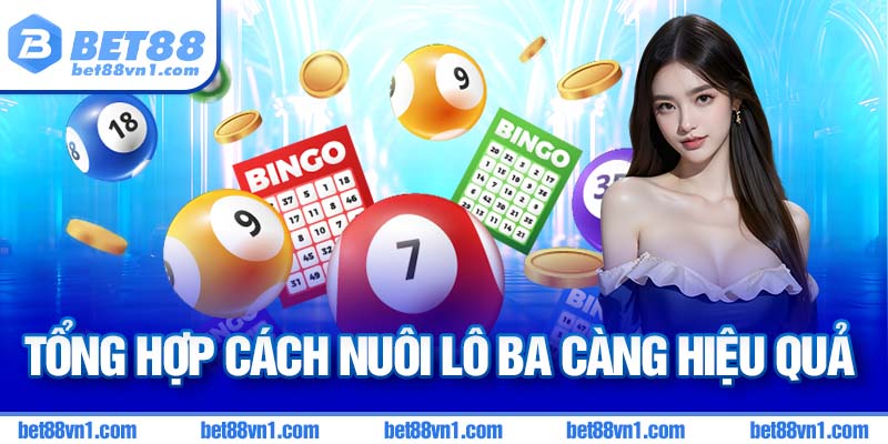 Tổng hợp các phương pháp nuôi lô ba càng hiệu quả
