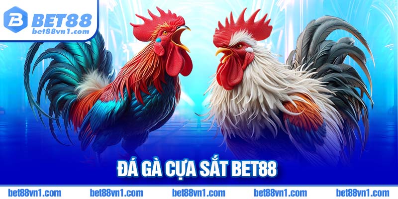 đá gà cựa sắt BET88