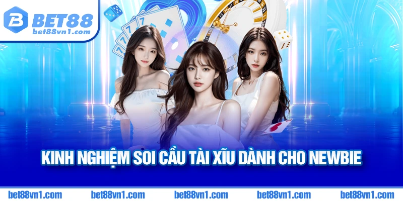 Kinh nghiệm dành cho người mới khi soi cầu tài xĩu BET88
