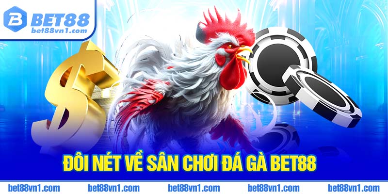 Giới thiệu tổng quát về sân chơi đá gà bet88