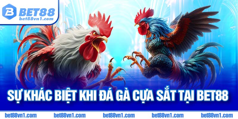 Sự khác biệt khi đá gà bằng cựa sắt tại BET88